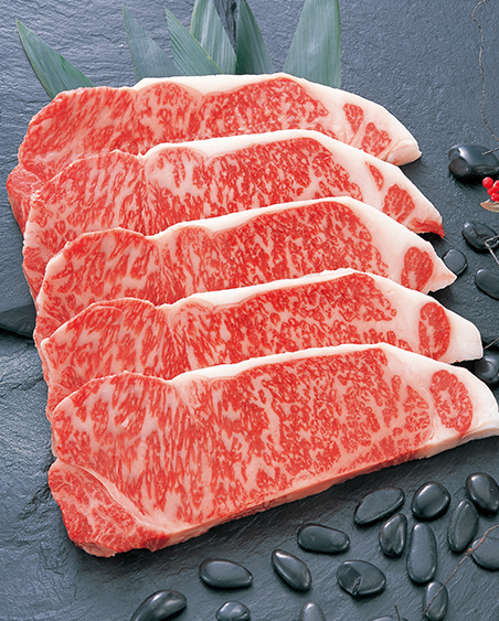 ag真人九游会官网登录网址